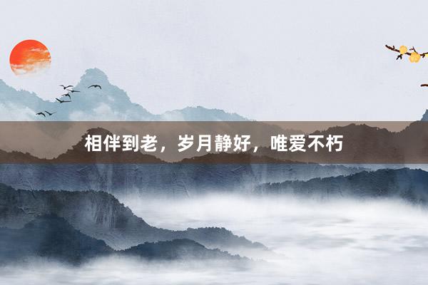 相伴到老，岁月静好，唯爱不朽