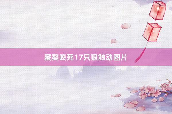 藏獒咬死17只狼触动图片