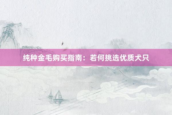 纯种金毛购买指南：若何挑选优质犬只